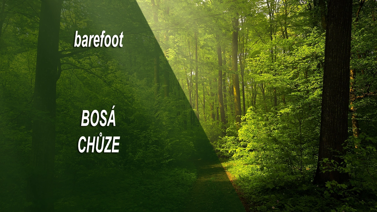 Bosá chůze (barefoot)