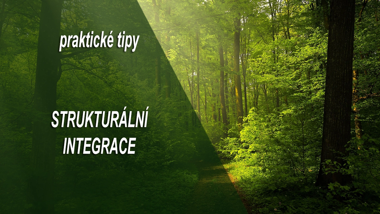 Praktické použití strukturální terapie